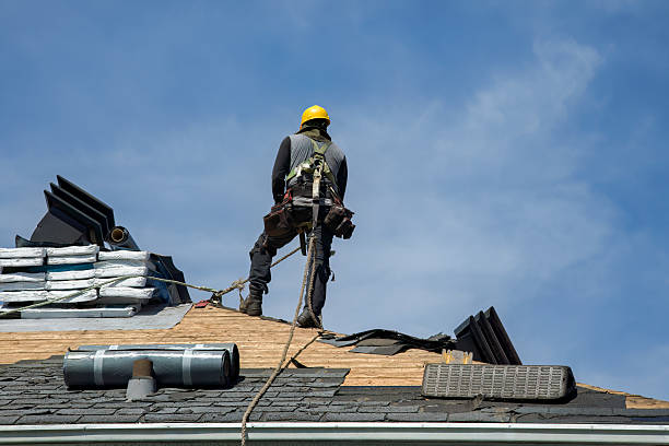 Professional Roof Replacement technician working in Renton, WA